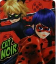 Fleecedecke Ladybug