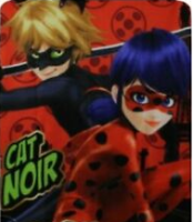 Fleecedecke Ladybug
