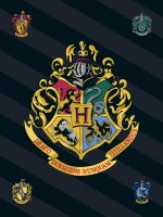 Fleecedecke Harry Potter 100x140cm
