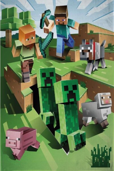 Fleecedecke Minecraft
