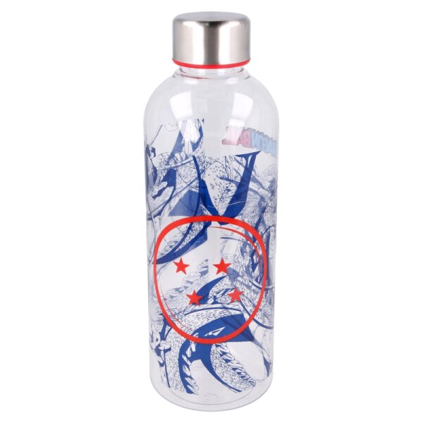 Wasserflasche Dragon Ball 850ml