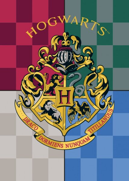 Fleecedecke Harry Potter bunt 100x140cm
