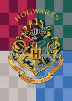 Fleecedecke Harry Potter bunt 100x140cm