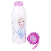 Aluminium Trinkflasche 510 ml Disney Frozen Eiskönigin Flasche Schule Kita