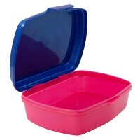 Brotdose Brotbox Lunchbox Disney Encanto Schule Kita Frühstück Vesper