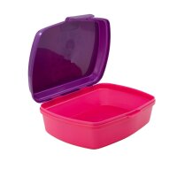 Brotdose Brotbox Lunchbox Rainbow High Schule Kita Frühstück Vesper