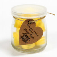 Soja Wachs Waxmelts Melts im Glas Mango Fruits